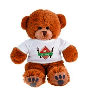 Brown bear with T-shirt suitable for printing (T-shirt packed separately)